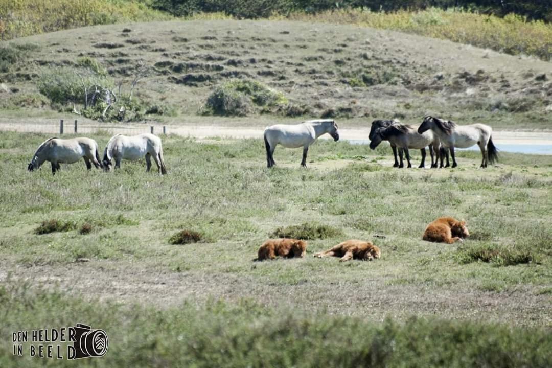 Prachtige Woning Aan De Duinen Villa Den Helder Eksteriør bilde